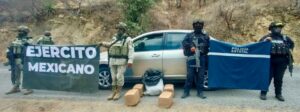 Aseguran Policía Estatal y Ejército Mexicano 41 kilogramos de probable marihuana en Atenango del Río